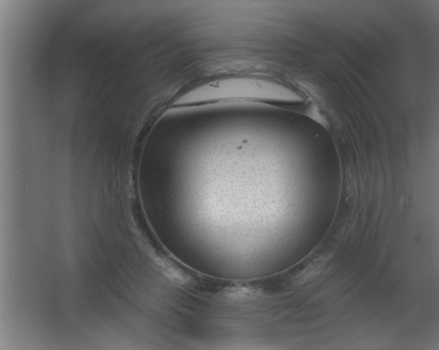 X0000067530453200604211848