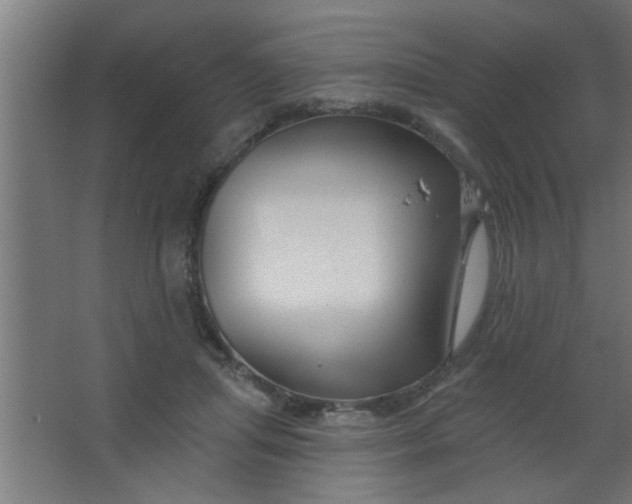 X0000067530455200604211848