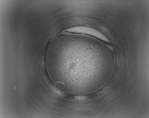 X0000067530457200604211848