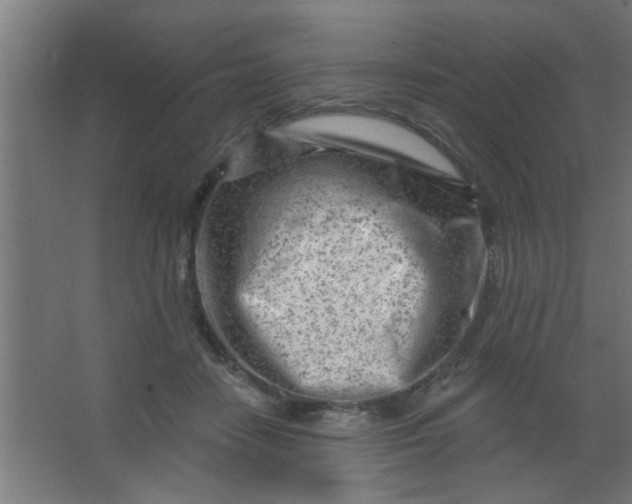 X0000067530458200604211848