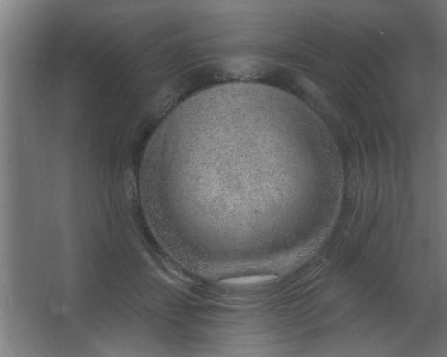 X0000067530459200604211848