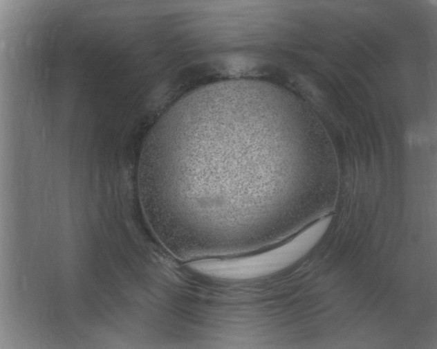 X0000067530461200604211848