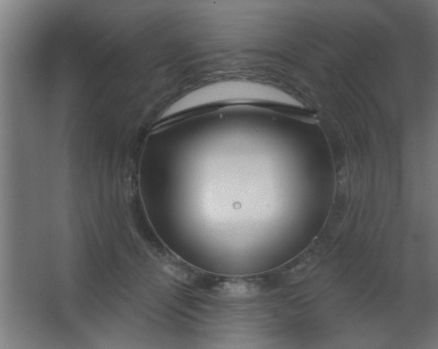 X0000067530464200604211848