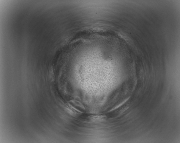 X0000067530465200604211848