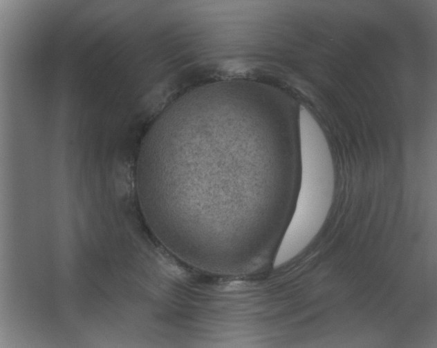 X0000067530467200604211848