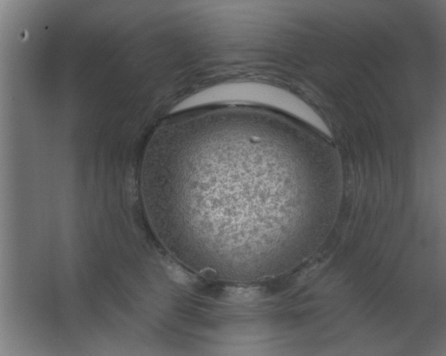 X0000067530469200604211848