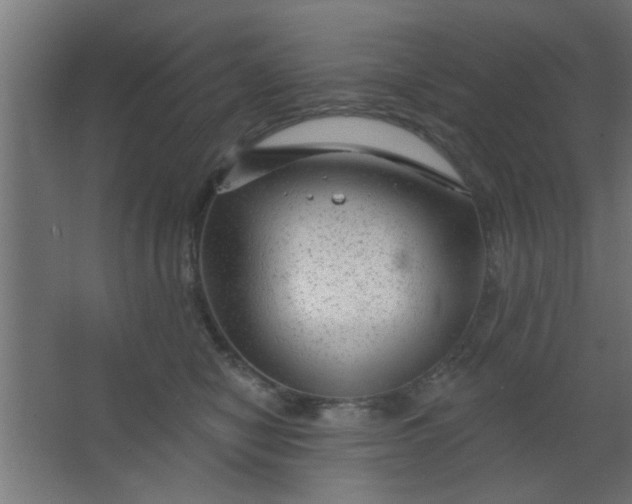 X0000067530470200604211848