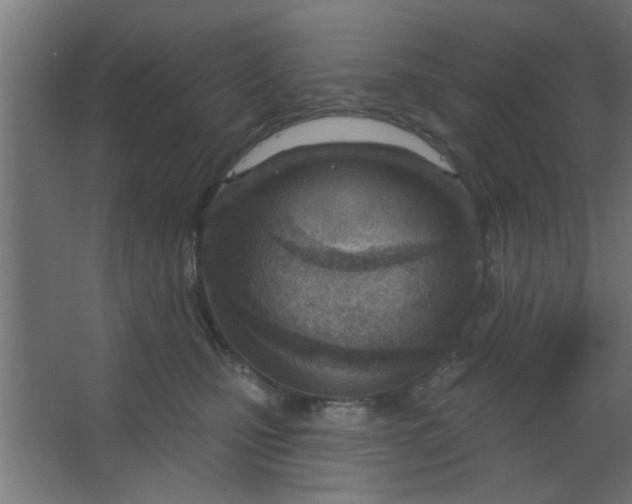 X0000067530471200604211848