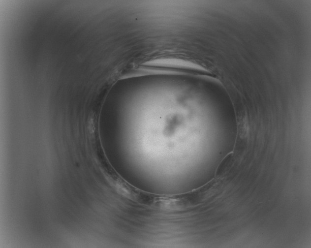 X0000067530472200604211848