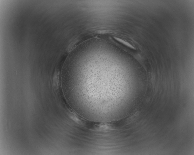 X0000067530475200604211848