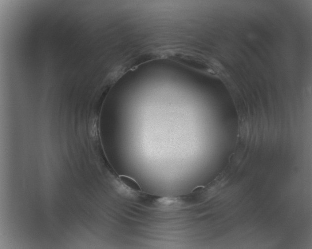 X0000067530477200604211848