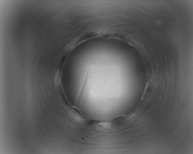 X0000067530478200604211848