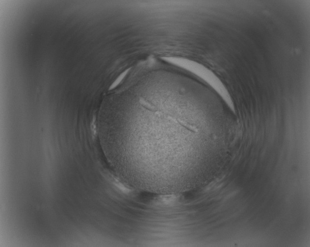 X0000067530479200604211848