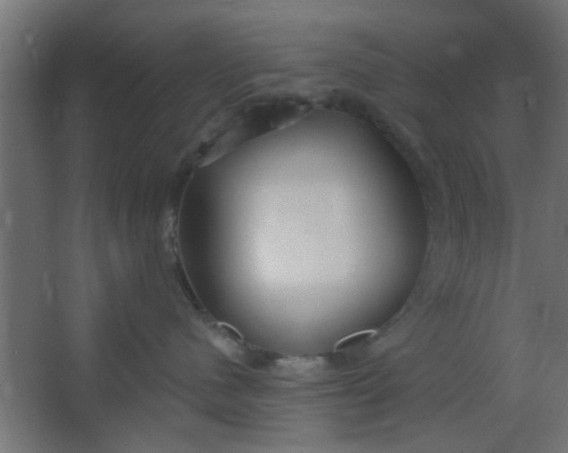 X0000067530480200604211848