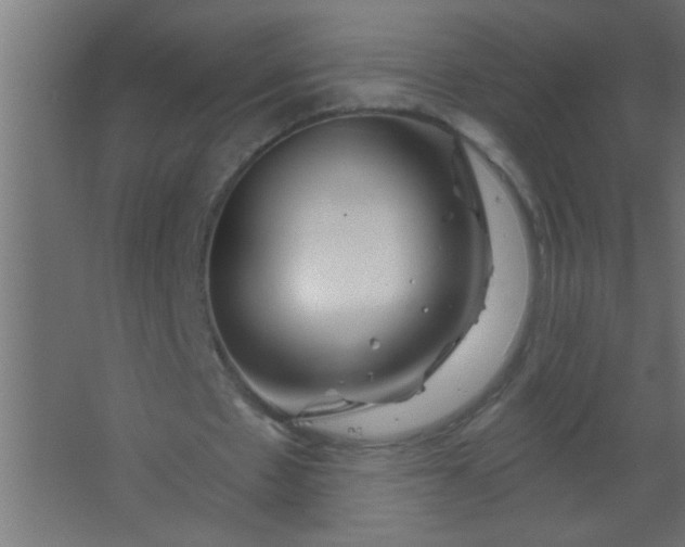 X0000067530481200604211847