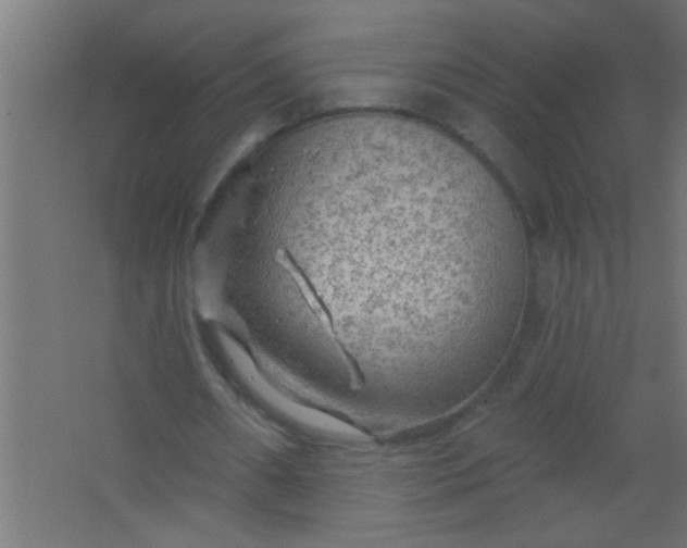 X0000067530482200604211847