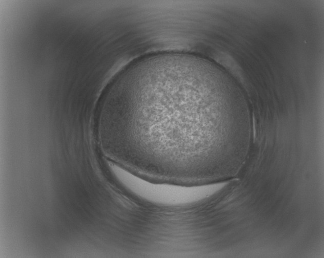 X0000067530483200604211847