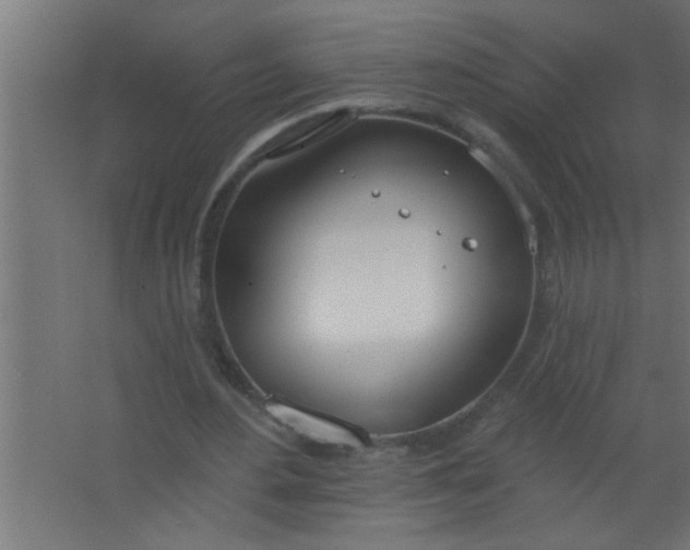 X0000067530484200604211847