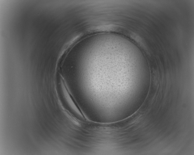 X0000067530486200604211847