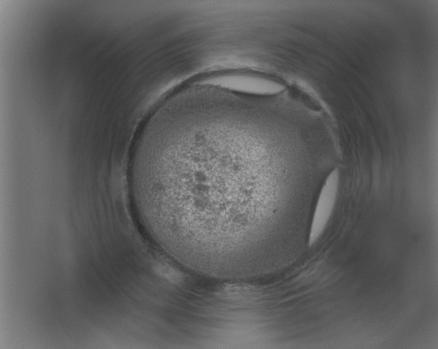 X0000067530487200604211847