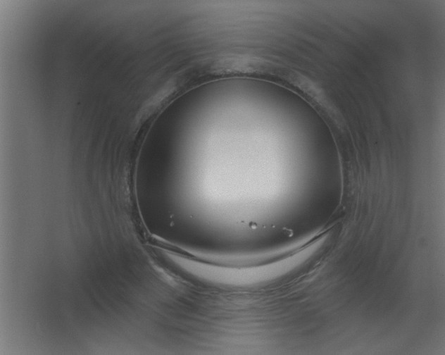 X0000067530489200604211847