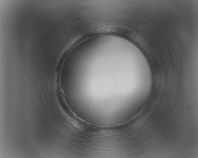 X0000067530490200604211847