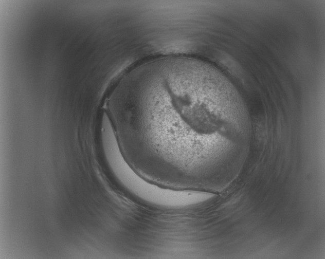 X0000067530491200604211847