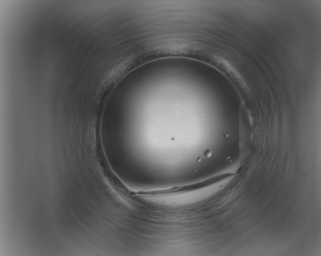 X0000067530493200604211847