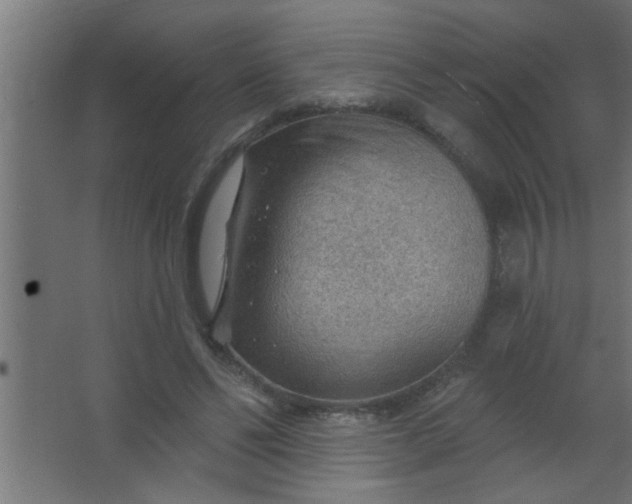 X0000067530494200604211847