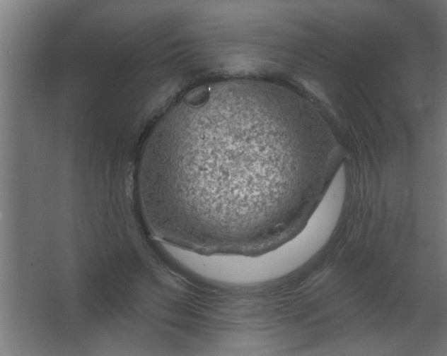 X0000067530495200604211847