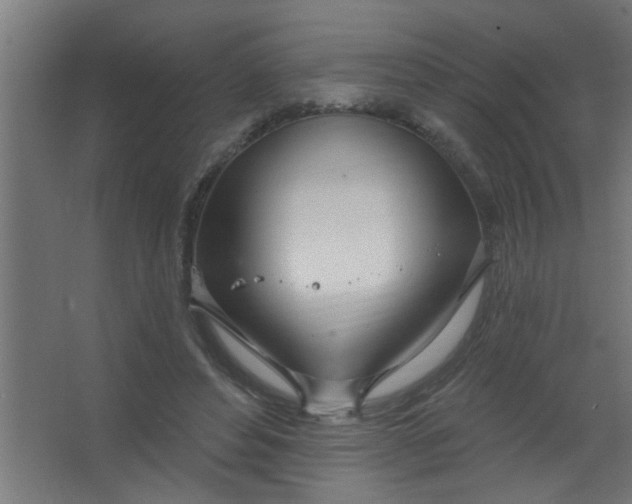 X0000067530496200604211847