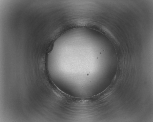 X0000067530497200604211847