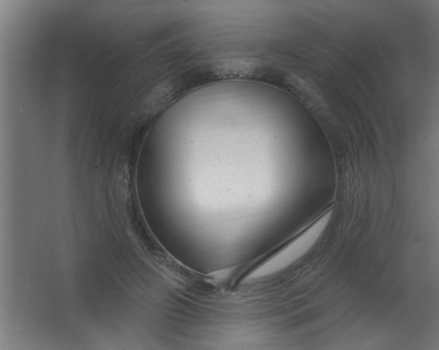 X0000067530498200604211847