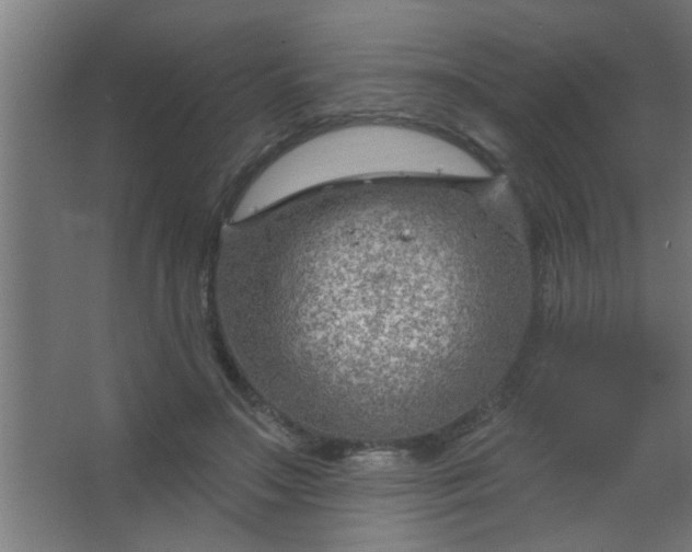 X0000067530499200604211847