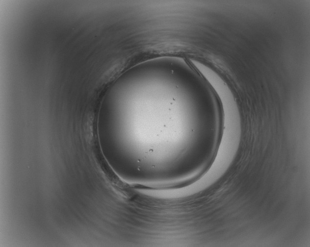 X0000067530501200604211847