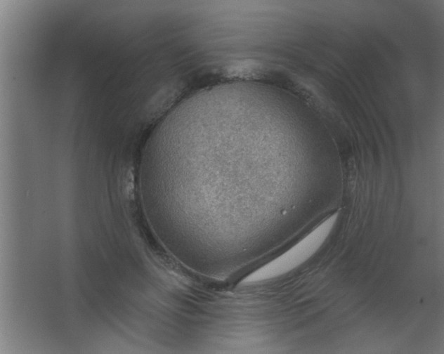 X0000067530502200604211847