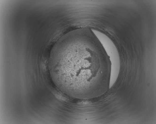 X0000067530503200604211847