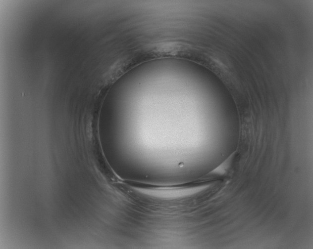 X0000067530504200604211847