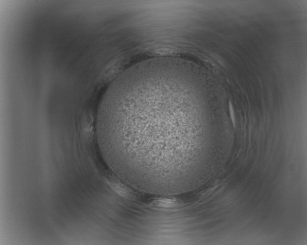 X0000067530507200604211847