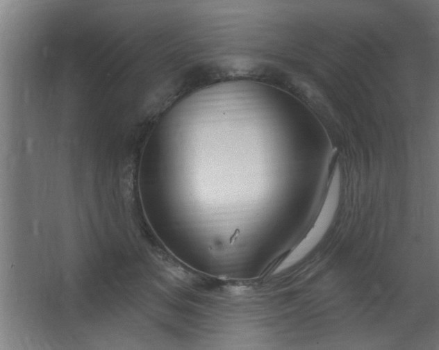 X0000067530509200604211847