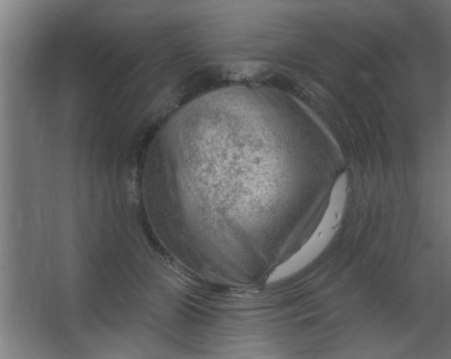 X0000067530510200604211847