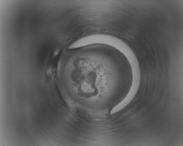 X0000067530511200604211847