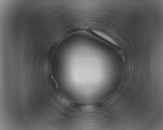 X0000067530513200604211847