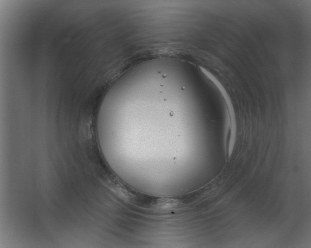 X0000067530514200604211847