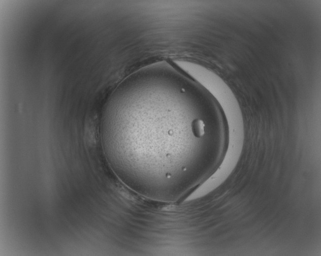 X0000067530515200604211847