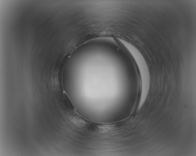 X0000067530516200604211847