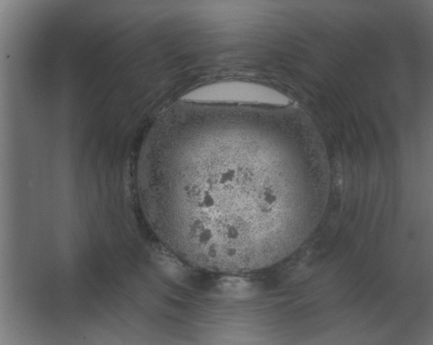 X0000067530519200604211847