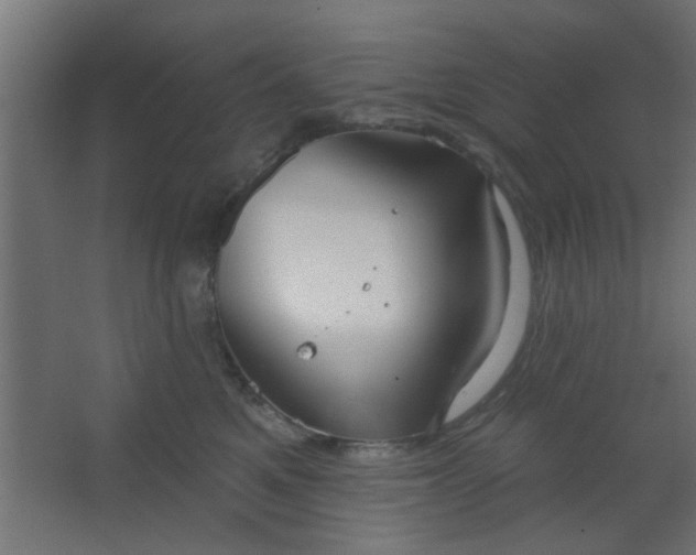 X0000067530521200604211847