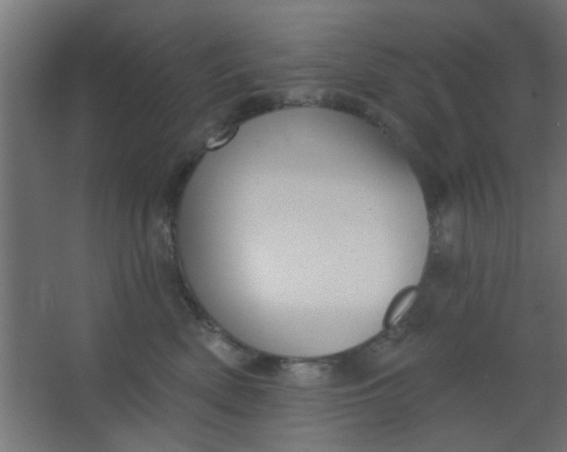 X0000067530522200604211847