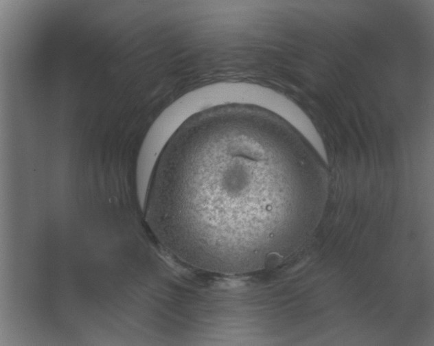 X0000067530523200604211847